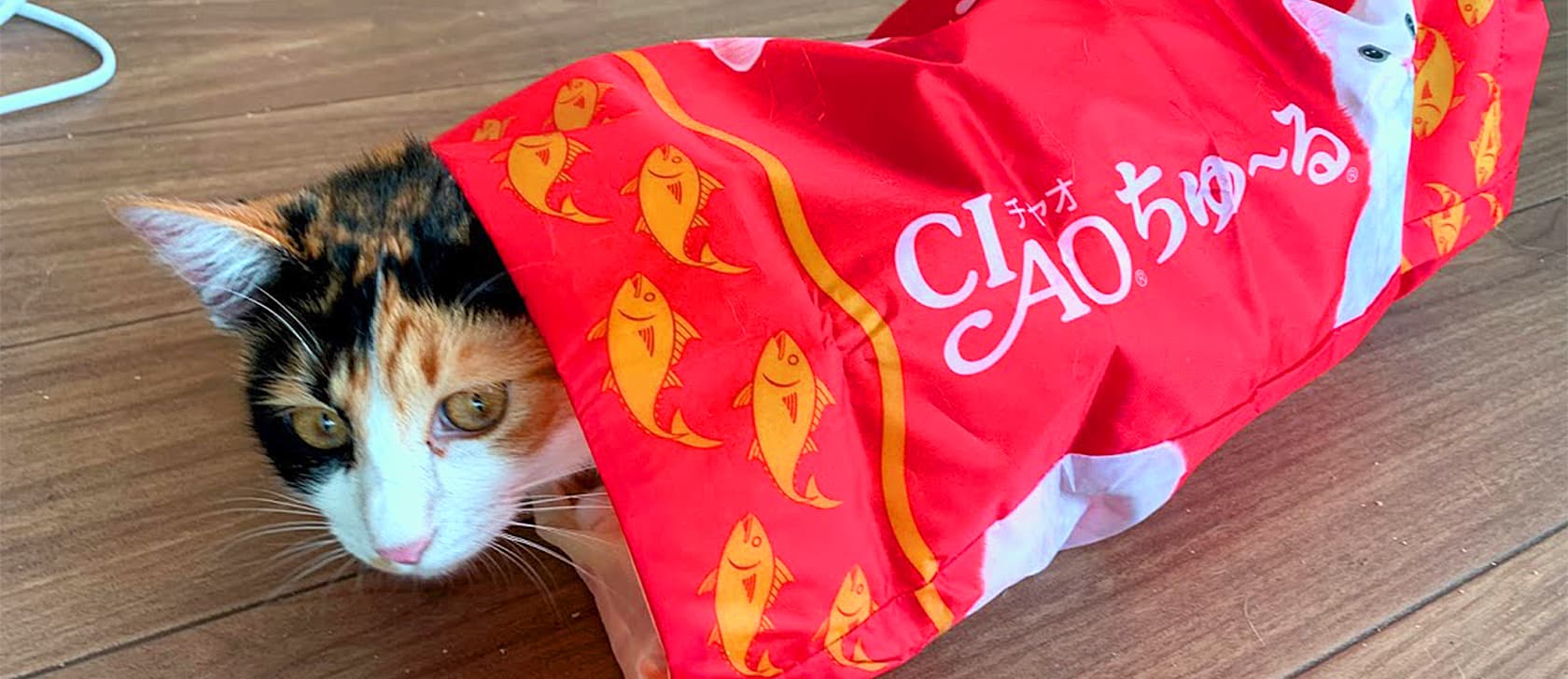 保護猫とつながるカフェ ショップ Nouvelle Vague ヌーベルバーグ